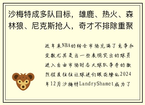 沙梅特成多队目标，雄鹿、热火、森林狼、尼克斯抢人，奇才不排除重聚