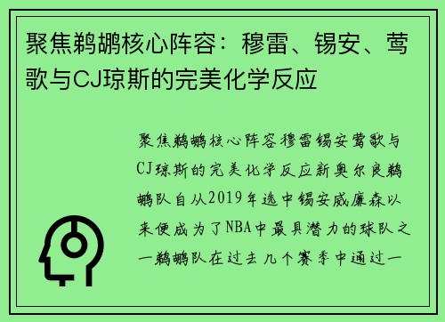 聚焦鹈鹕核心阵容：穆雷、锡安、莺歌与CJ琼斯的完美化学反应